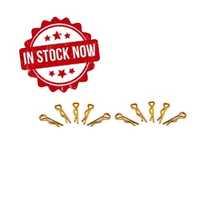 Clips de carrocería Arrowmax pequeños (dorados) (10pcs) AM-103101