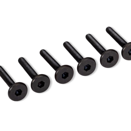 Tornillos de cabeza plana hexagonal de 3 x 20 mm (6)