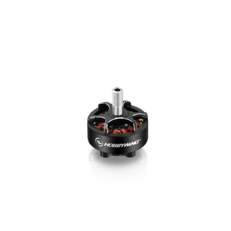 Hobbywing XRotor 2207 D28x19 D5 1980kV 6s Lipo